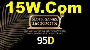 95D